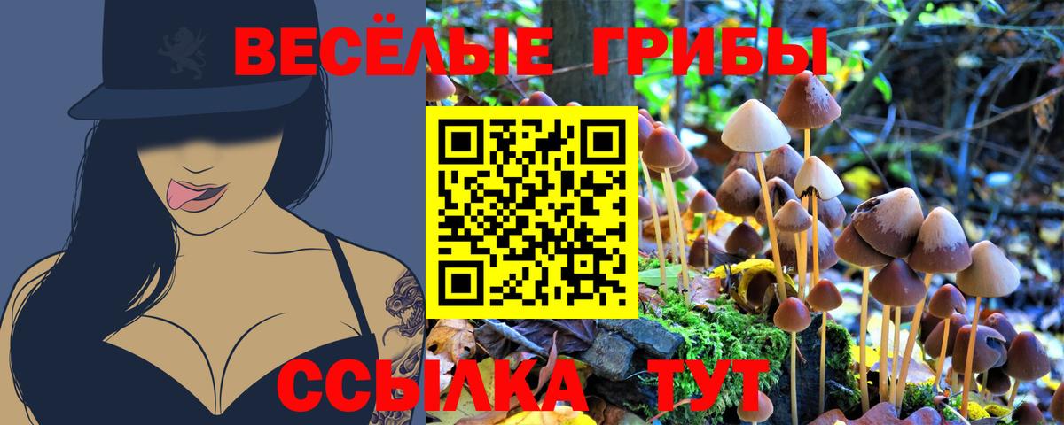 ЭКСТАЗИ Салехард